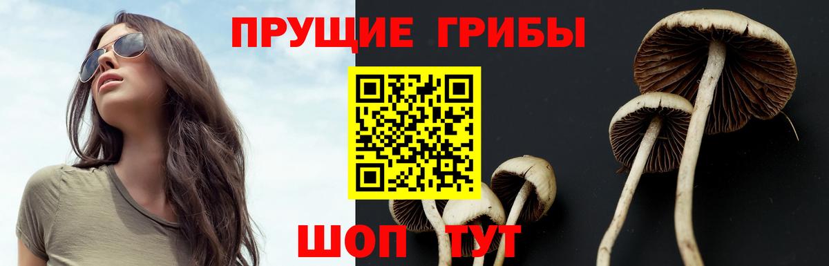 Архангельск  Псилоцибиновые грибы мухоморы  Галлюциногенные грибы мухоморы  Вход с VPN 